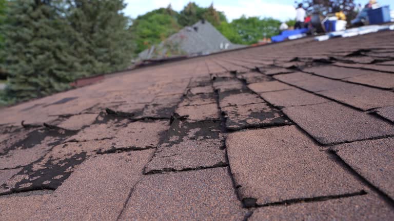 Best Hot Roofs  in Leona Valley, CA