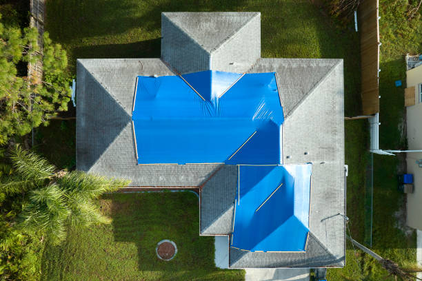 Best Sheet Metal Roofing  in Leona Valley, CA
