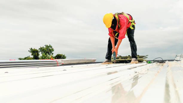 Best Solar Panel Roofing Installation  in Leona Valley, CA