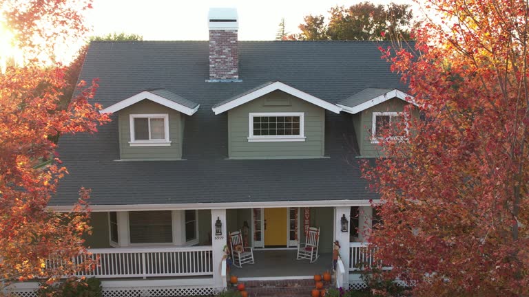 Best Chimney Flashing Repair  in Leona Valley, CA