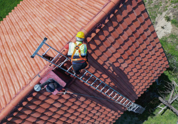 Best Gutter Installation and Repair  in Leona Valley, CA