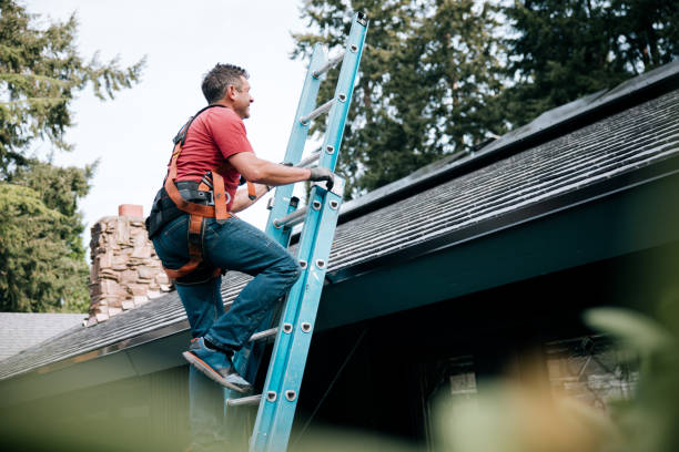 Best Gutter Installation and Repair  in Leona Valley, CA